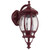 Vienna Curved Arm Downward Wall Light - Burgundy Finish / B22