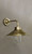 Classic Brass Wall Lamp in SDH