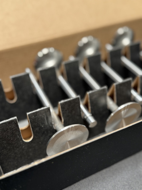 Stainless Steel Intake and Exhaust Valve Set