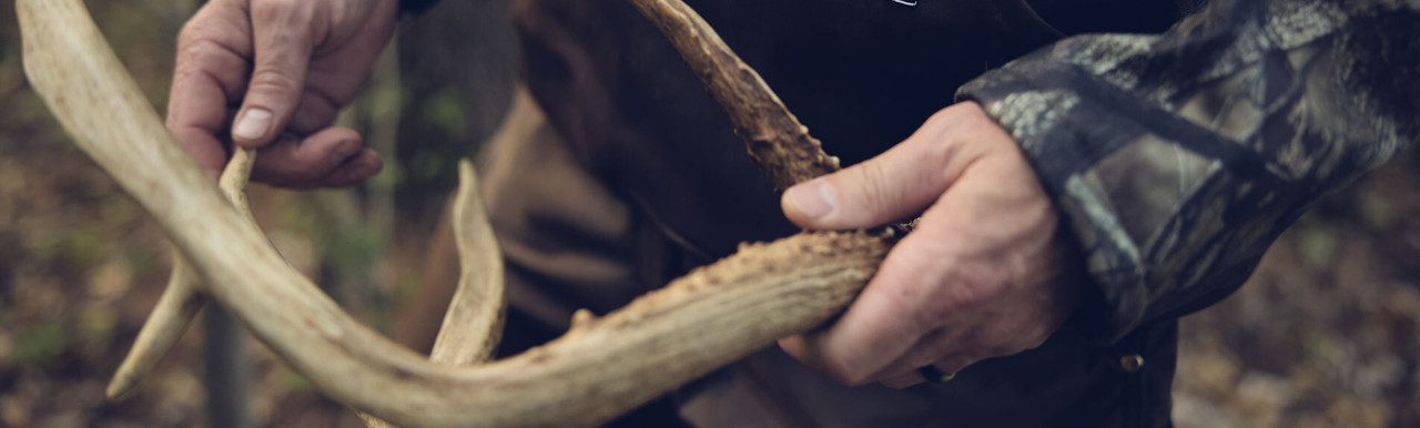 Sheds & Foraging