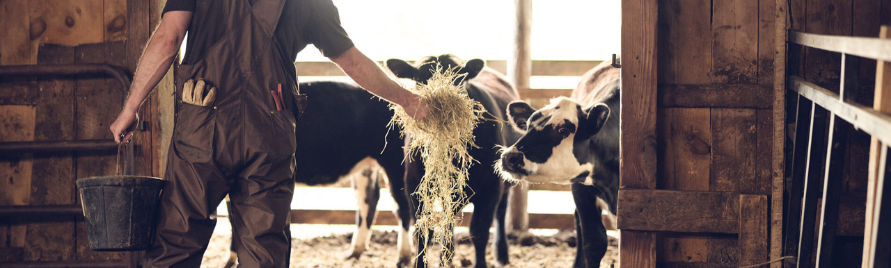 Farming