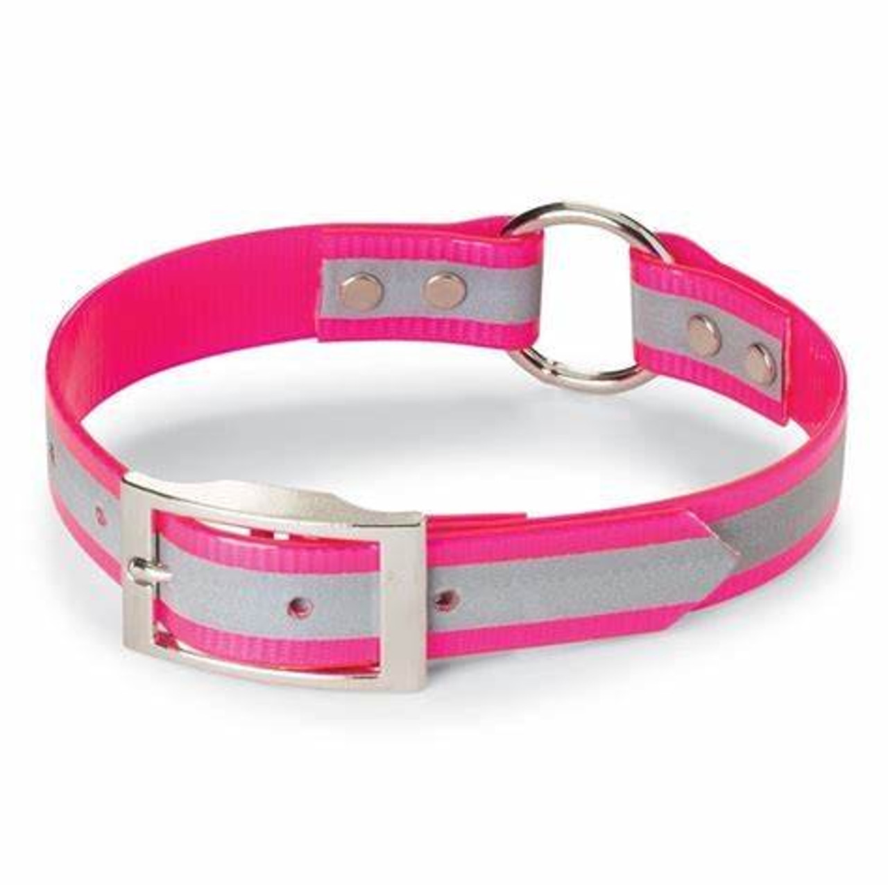 Dayglo Collars with O-Ring