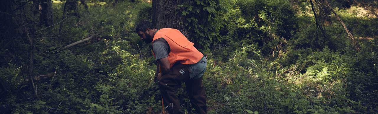 Surveying