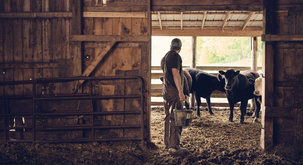 Farming