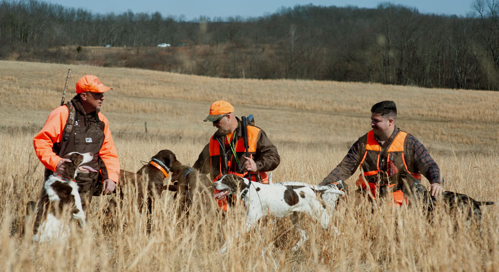 Rabbit hunting
