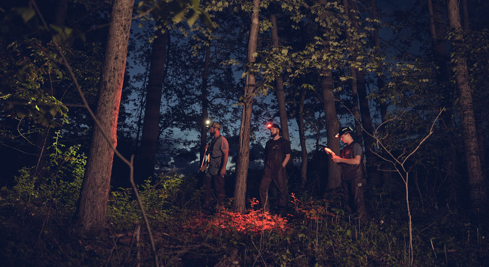 Raccoon hunting