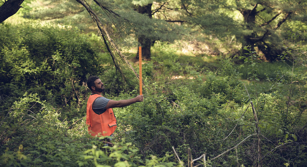 Surveying