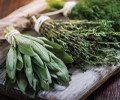 Aromatic Herbs