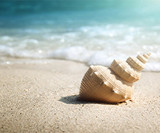 Salt Mist & Sand