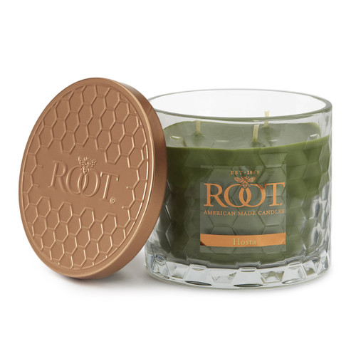 Hosta 3 Wick Honeycomb Candle