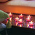 Unscented Tealights in Aluminum Cup 250 Bulk Pack Box