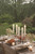 Root Collenette Dinner Candles have a distinctive, formal profile that lends itself to traditional, formal presentation on your dinner table.