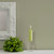 5" Timberline™ Collenette Willow Box of 8 Candles