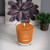 **OUT OF STOCK** Mulled Cider Large Honeycomb Veriglass
