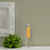 5" Timberline™ Collenette Butterscotch Box of 8 Candles