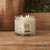 Sugared Grapefruit 3 Wick Honeycomb Candle