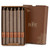 9" Timberline™ Arista™ Portobello Box of 12 Candles