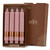 9" Timberline™ Collenette Dusty Rose Box of 4 Candles