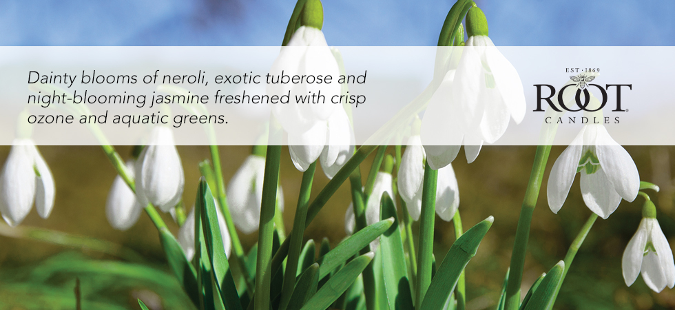 2024-fragrance-description-freshfloret.jpg