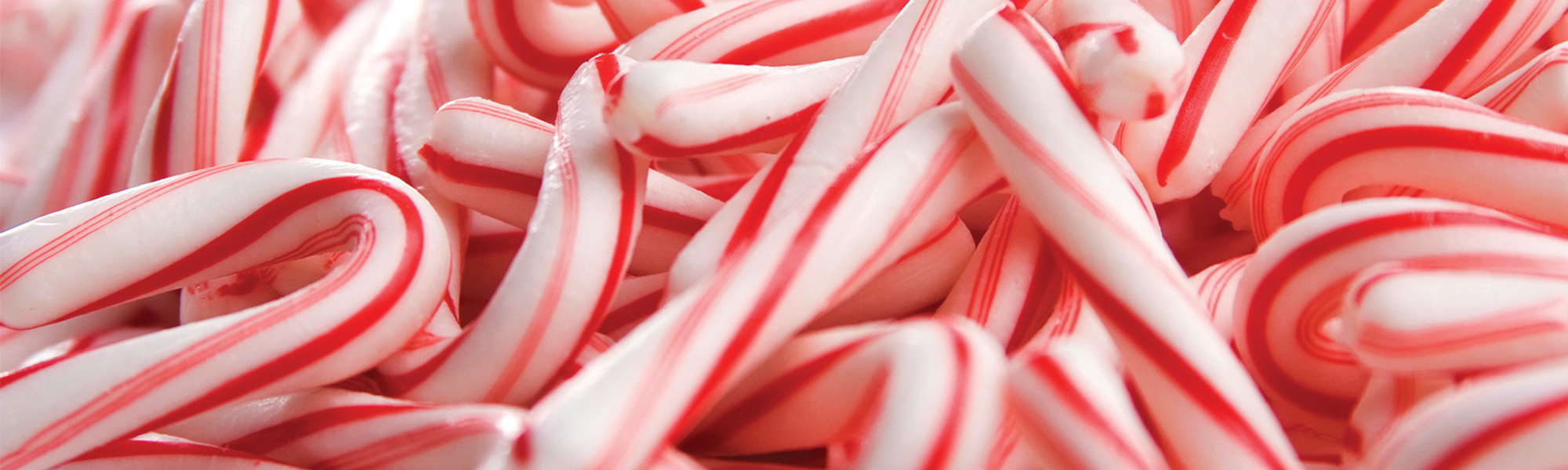 christmas-3000x600-fragrance-header.jpg