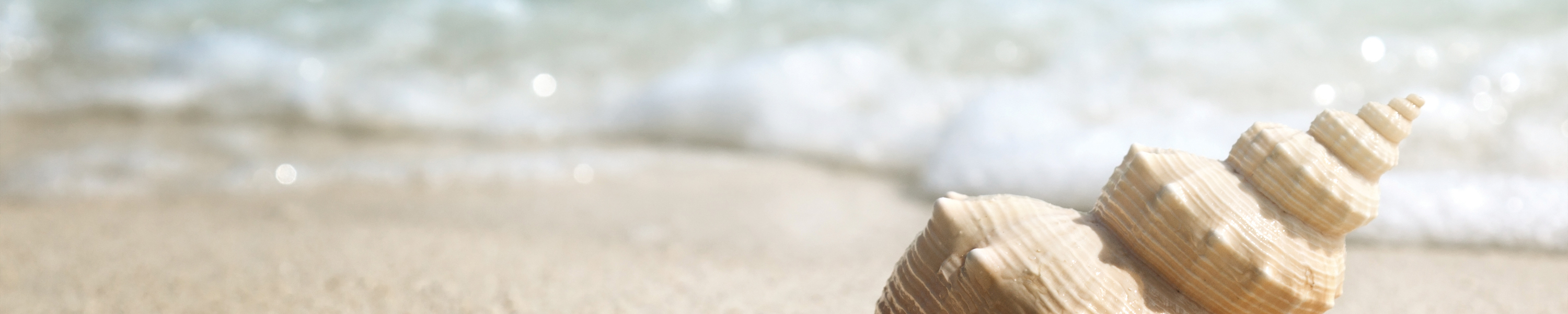 fragrance-category-header-ozonic.jpg