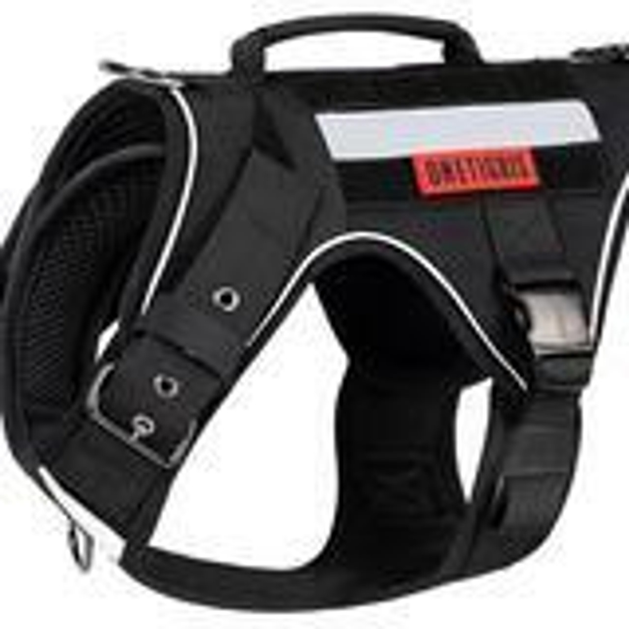K9 Gear
