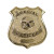 Badge - Gold Special Officer