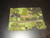 Canadian Armed Forces Epaulet Canadian Digital Pattern