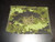 Canadian Armed Forces Epaulet Canadian Digital Pattern