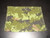Canadian Armed Forces Epaulet Canadian Digital Pattern