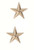 Rothco Brigadier General Insignia Stars - Gold Rothco Brigadier General Insignia Stars - Gold