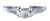 Rothco USAF Pilot Wing Pin