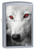 Zippo Dire Wolf