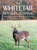 The Whitetail Hunters Almanac