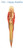 YTC Summit 5509 Pen Happy Buddha