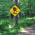 Tin Sign - Sasquatch Xing