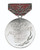 GST Silver Ausbilder Medal