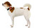 OneTigris Adjustable Small Tactical Dog Collar