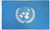 United Nations Flag - 3'x5'