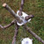 Trailblazer Camp Cooking Hanging Tripod - Stainless Steel