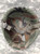Canadian Armed Forces M1 Steel Helmet w/Liner and Woodland Cover