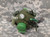 Chinese PLA Air Force Pilot Combat Oxygen Mask, YM-6 Type