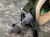 Chinese PLA Air Force Pilot Combat Oxygen Mask, YM-6 Type