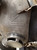 Italian Pirelli C.60 Industrial Gas Mask