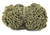 U.S. M1 Helmet Net
