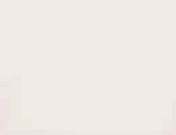 Canvas Duck Material 50 Yard Roll - Natural White