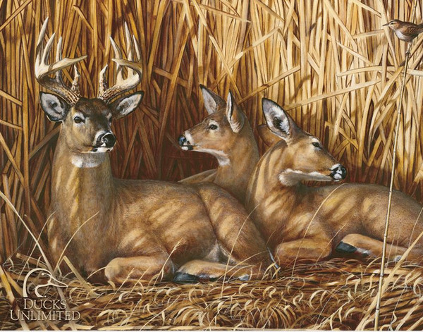 Tin Sign 1039 Ducks Unlimited - Hideaway