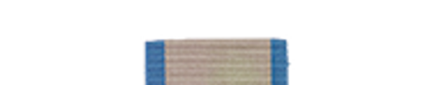 Canadian Armed Forces UN Mission for the Referendum In Western Sahara Slide Medal Bar