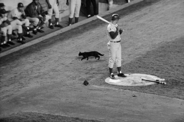 The Craziest Superstitions of Baseball Players