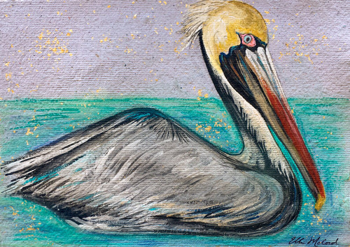 Pelican on Water- 11x14